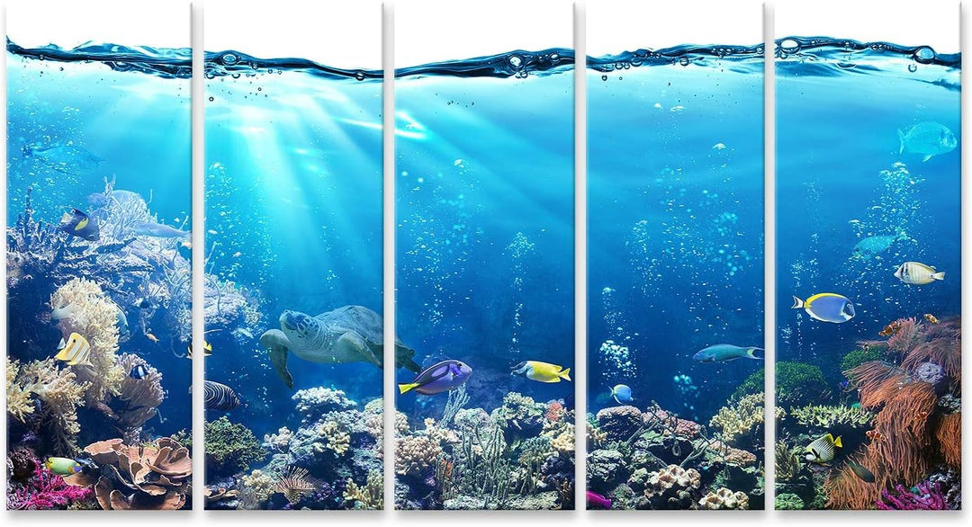 islandburner Bild auf Leinwand Unterwasser Mit Riff Und Tropischen Fischen Aquarium Hintergrund Bild