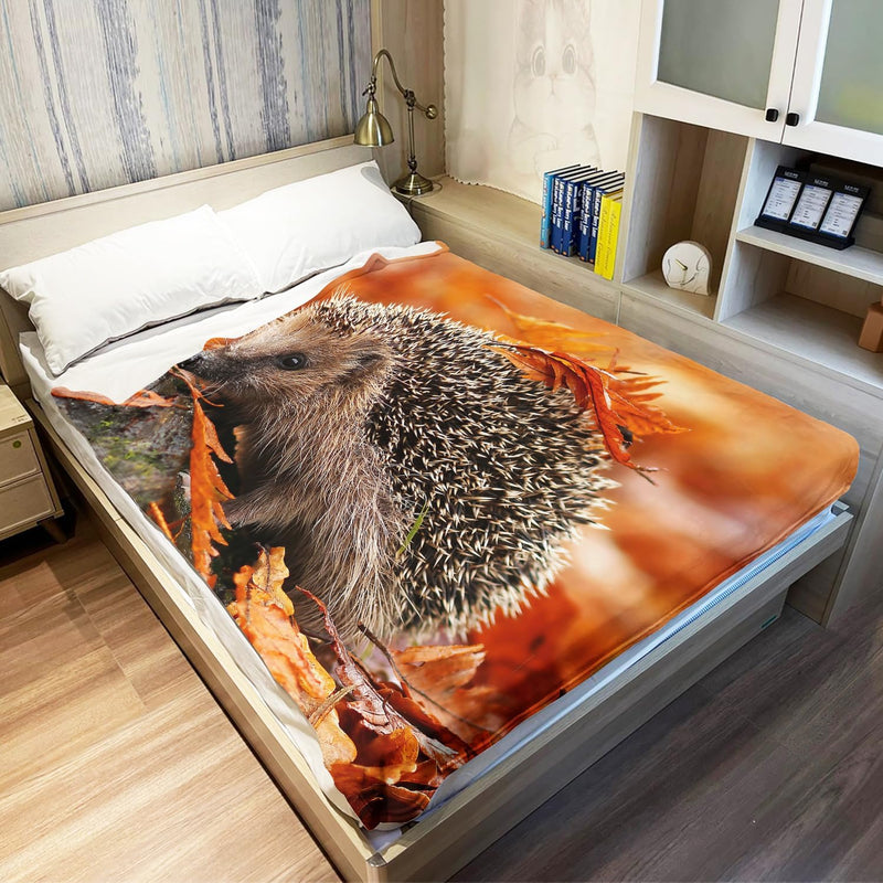 YISUMEI Tiermotiv Kuscheldecke Grauer Igel Weich Bequem Kunstfell Decke Kuscheldecken für Couch Bett
