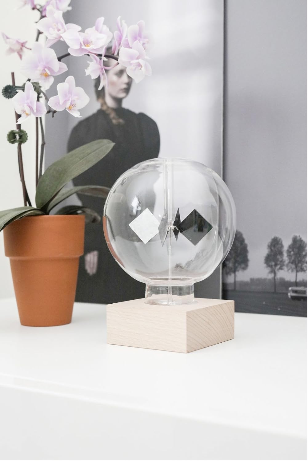 Kikkerland ST85 Deko, Holz, Glass, Transparent, 11.8 x 11.2 x 15.9 cm