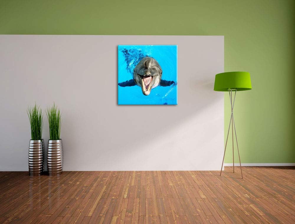 Pixxprint Delfin lacht, Format: 70x70 auf Leinwand, XXL riesige Bilder fertig gerahmt mit Keilrahmen