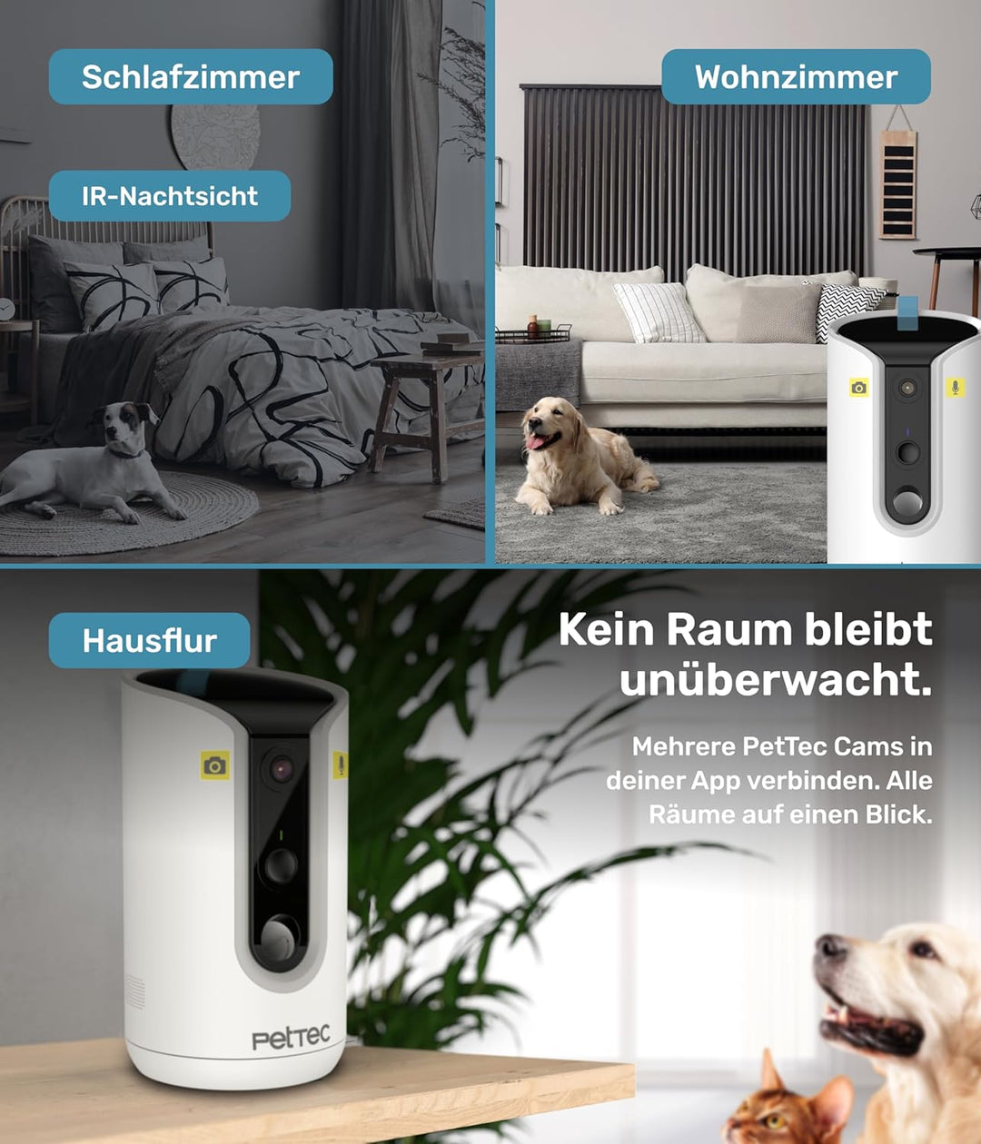 PetTec® Haustierkamera 360° und automatischer Futterspender mit Leckerliauswurf - via App & Multitas