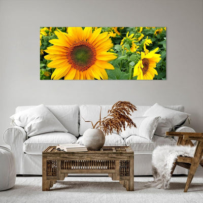 Wandbilder Dekoration Wohnzimmer Wolken Sonnenblumen Plantagen Panorama Bilder auf Leinwand 120x50cm