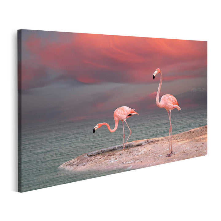 islandburner Bild auf Leinwand Rosa Flamingo Florida Am Strand Bilder Wandbilder Poster Leinwand 100