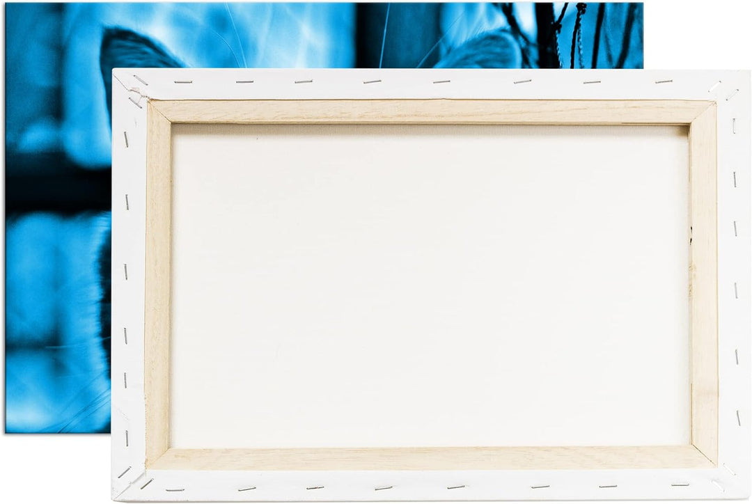 deyoli zwinkernde Katze Format 80x60 Effekt: Monocrome Blau als Leinwandbild, Motiv fertig gerahmt a