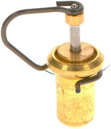 Bosch F026T03038 Thermostat
