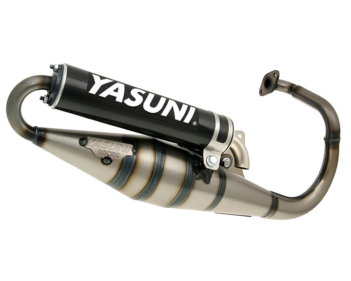 Auspuff Yasuni Scooter Z Carbon für Peugeot stehend