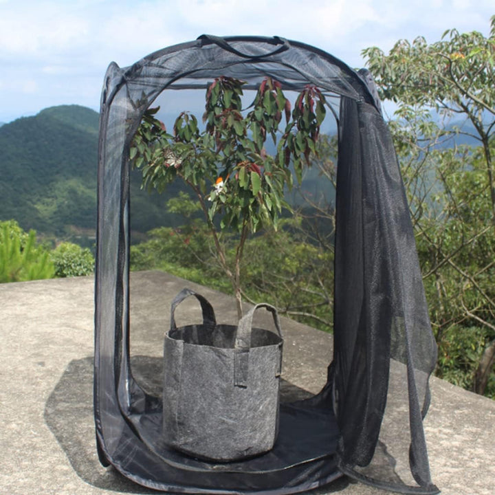 Schmetterlingskäfig, 61 x 61 x 89 cm, zusammenklappbares transparentes Haus mit Reissverschluss und