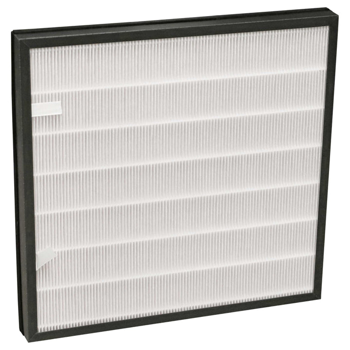 vhbw 2-in-1 Kombifilter kompatibel mit Bielmeier BHG 280 Luftreiniger - Ersatz für Bielmeier 028001