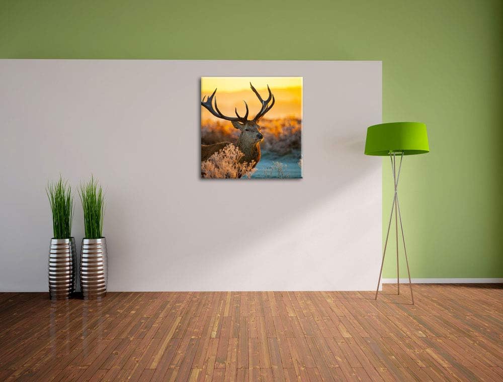 Stolzer Hirsch auf Wiese, Format: 70x70 auf Leinwand, XXL riesige Bilder fertig gerahmt mit Keilrahm