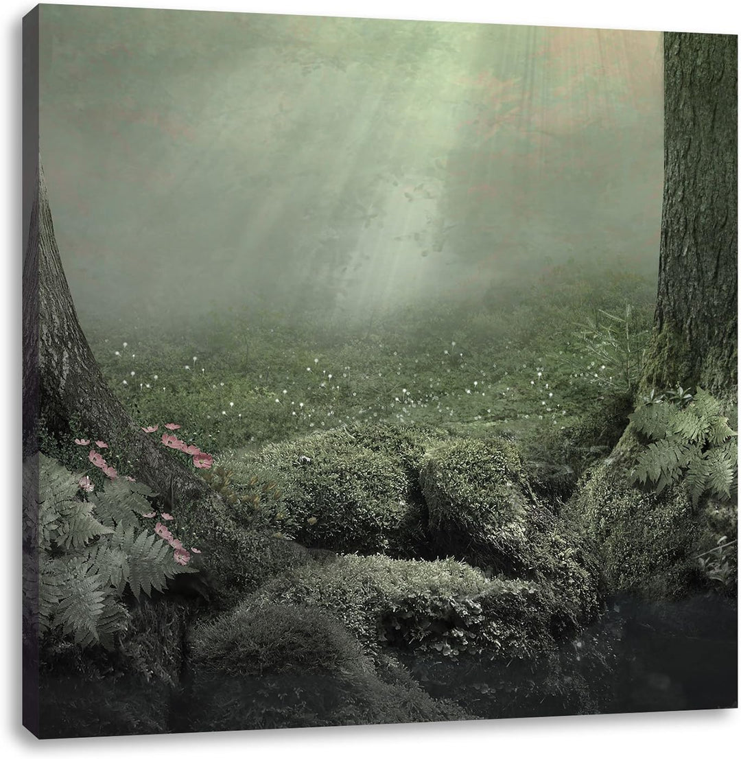 Pixxprint Märchenwald mit Schmetterling schwarz/weiss, Format: 70x70 auf Leinwand, 70x70