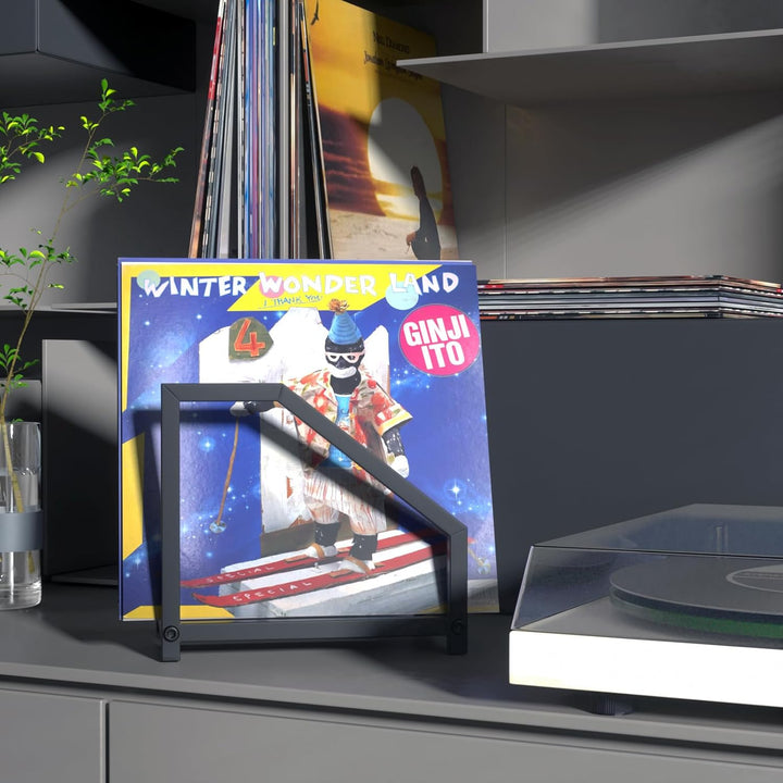 MayRecords Schallplattenhalter für Schallplatten, Metall, für LP