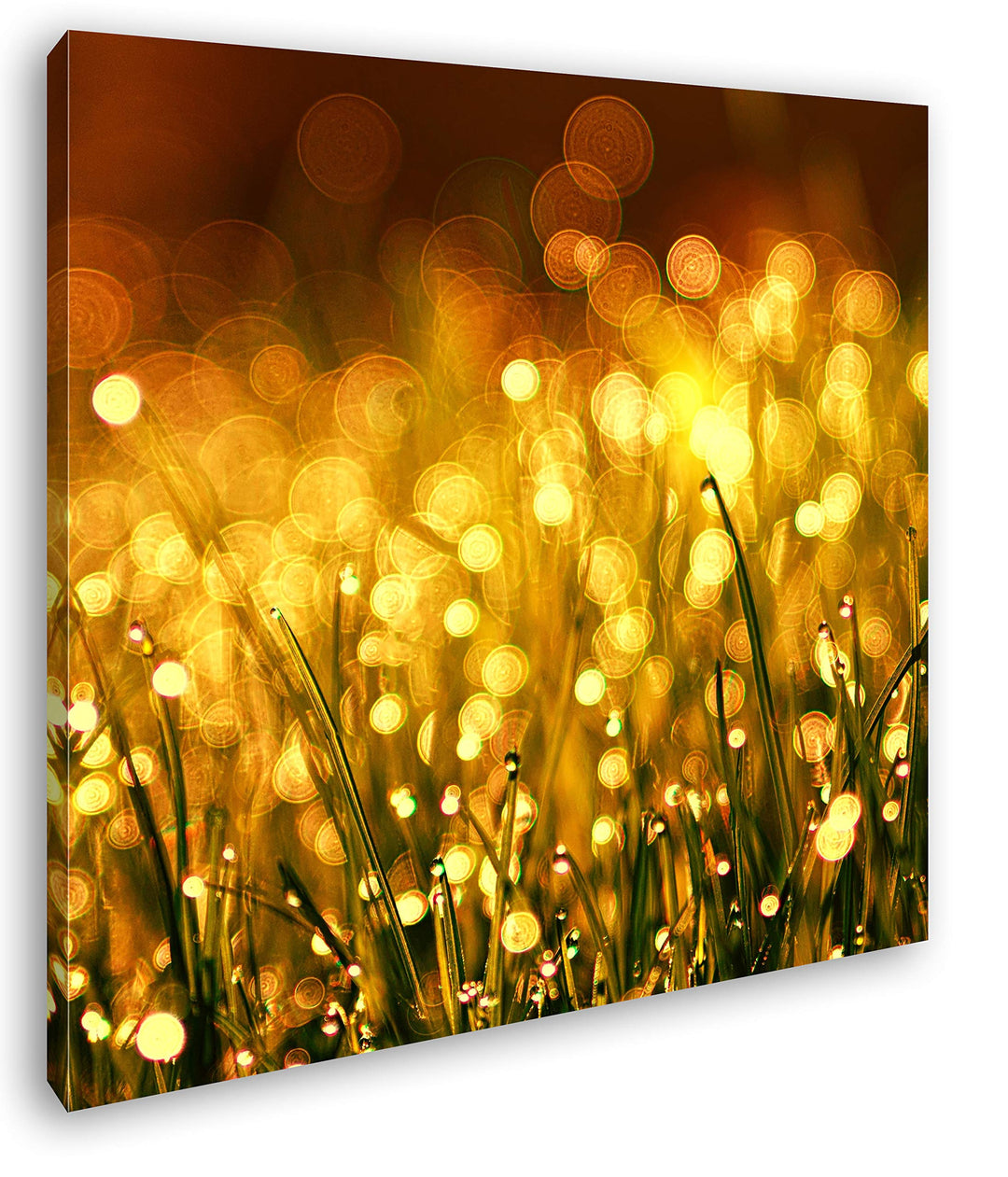 deyoli Im Gras schimmernder Sonnenuntergang Format: 70x70 als Leinwand, Motiv fertig gerahmt auf Ech