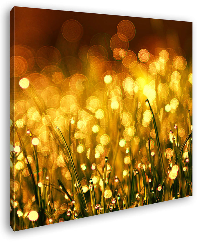 deyoli Im Gras schimmernder Sonnenuntergang Format: 70x70 als Leinwand, Motiv fertig gerahmt auf Ech