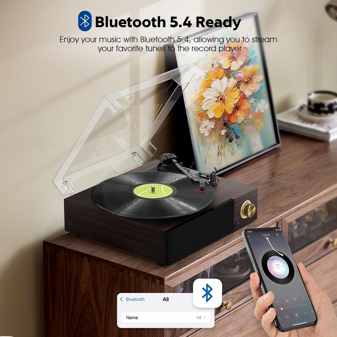FYDEE Vintage Vinyl Plattenspieler mit integrierten Lautsprechern, Bluetooth 5.4 Vinyl-Player, 3 Ges