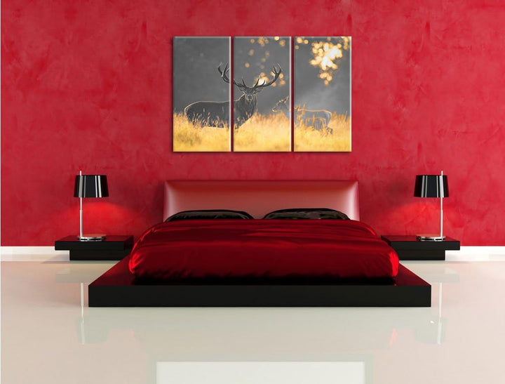 Pixxprint Rotwild im goldenen Morgenlicht als Leinwandbild/Grösse: 3 Teilig (120x80 cm) cm/Wandbild/