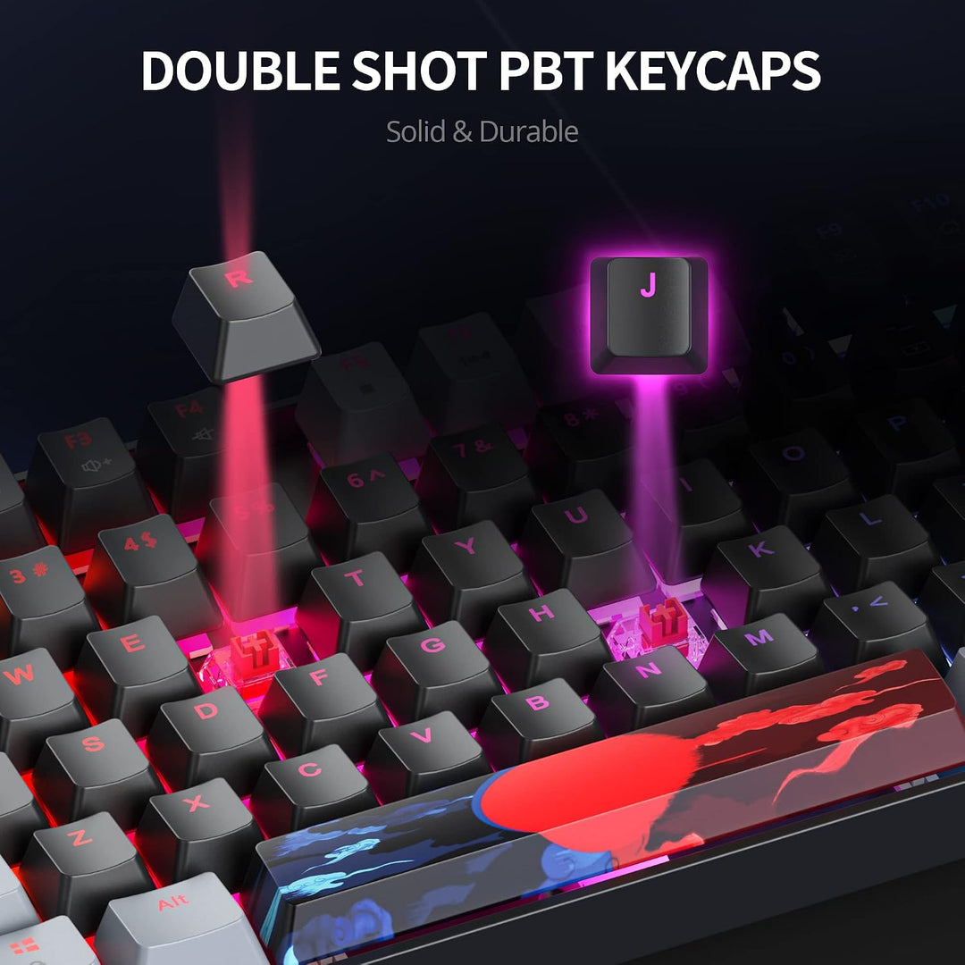 SOLIDEE Tragbare 80% mechanische Gaming-Tastatur,87 Tasten kompakte RGB LED-Hintergrundbeleuchtung,k