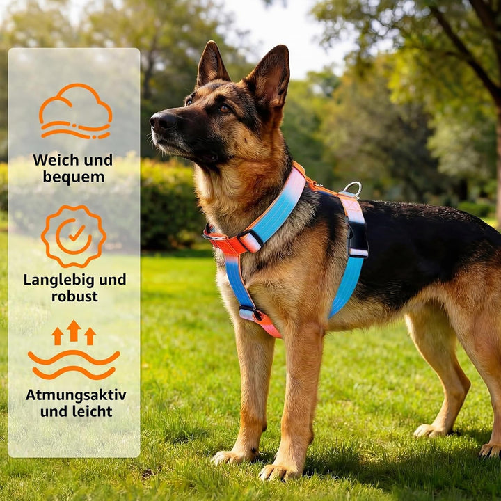 Hundegeschirr Mittelgrosse Grosse Hunde, Anti Zug Brustgeschirr Verstellbar mit Front Clip, Taktisch
