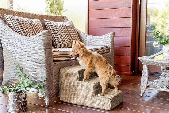 Hundetreppe 30 cm hoch | Katzentreppe Haustiertreppe | 3 Stufen | Hunde Katzen Haustier | für Bett u