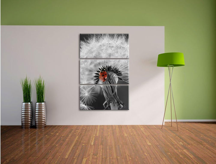 Pixxprint schöner Marienkäfer auf Pusteblume als Leinwandbild/Grösse: 3 Teilig (120x80) cm/Wandbild/