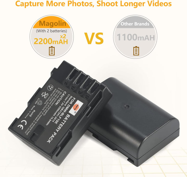 DSTE 2 x DMW-BLF19E Ersatzakku + Dual USB-Ladegerät mit LCD-Display, kompatibel mit DMW-BLF19 und Pa