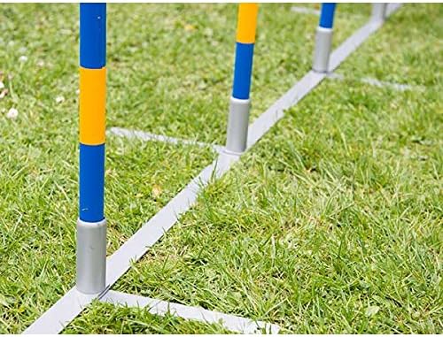 Procyon Dog Agility Profi Alu Slalom