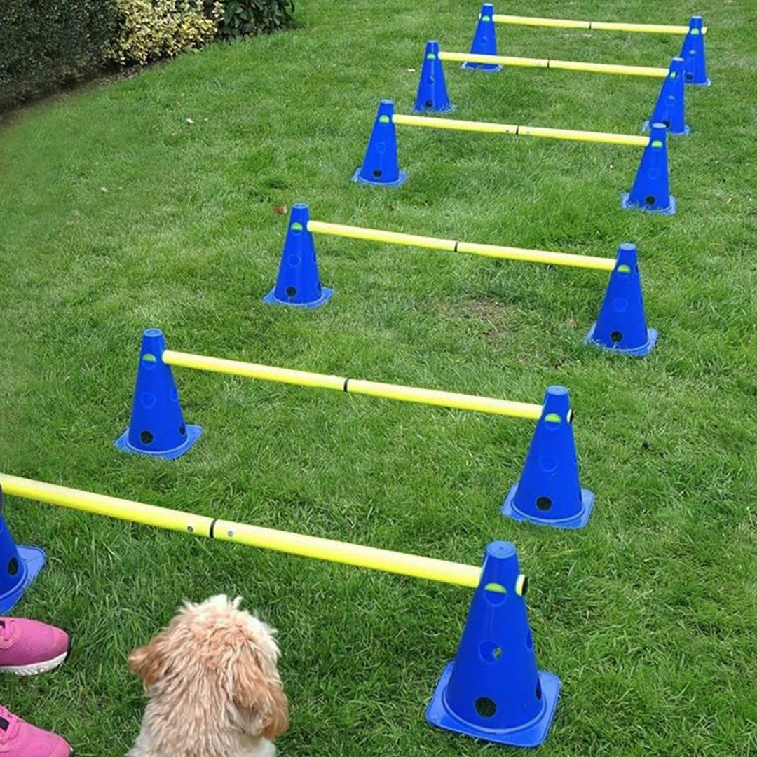 praktisches Steckhürdenset 2024 für Fussball, Hundesport, Pferdesport – Ideales Trainingszubehör, Fu