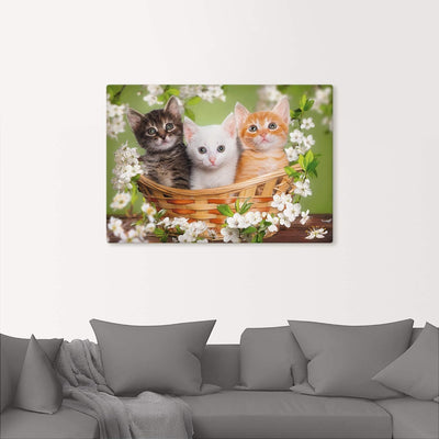 Artland Leinwandbild Wandbild Bild auf Leinwand 70x50 cm Wanddeko Katze Tiere Katzenbaby Baby Landha