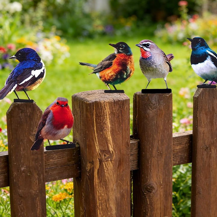 5 Stück Gartendeko Bemalte Vogel, Bunt Bemalte 2D Gartenkunst, Vogel Gartenstecker, Voge Deko Figure