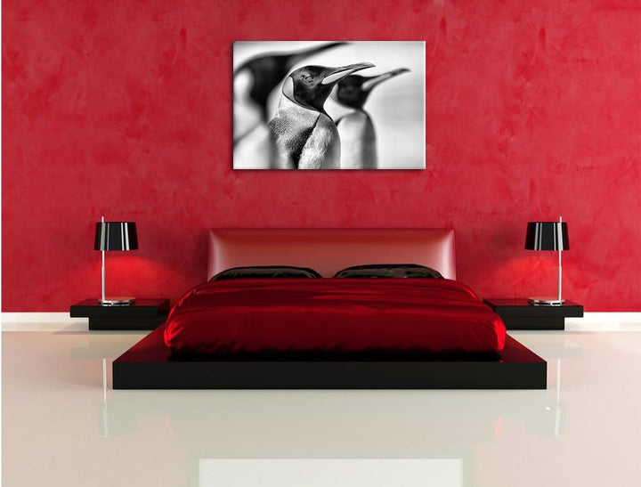 Monocrome, Pinguine, Format: 100x70 auf Leinwand, XXL riesige Bilder fertig gerahmt mit Keilrahmen,