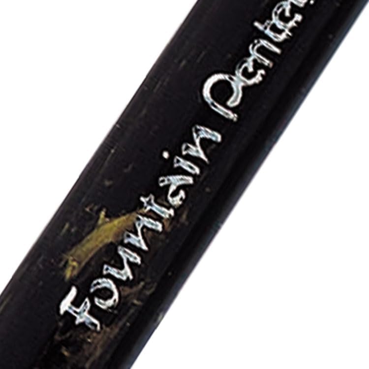 Pentel Fountain 12 Stück schwarz 1 Schwarz, 1 Schwarz