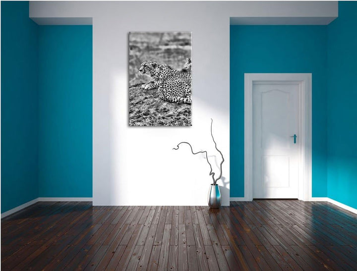 Pixxprint Monocrome, prächtige Geparden auf Stein, Format: 100x70 auf Leinwand, riesige Bilder ferti