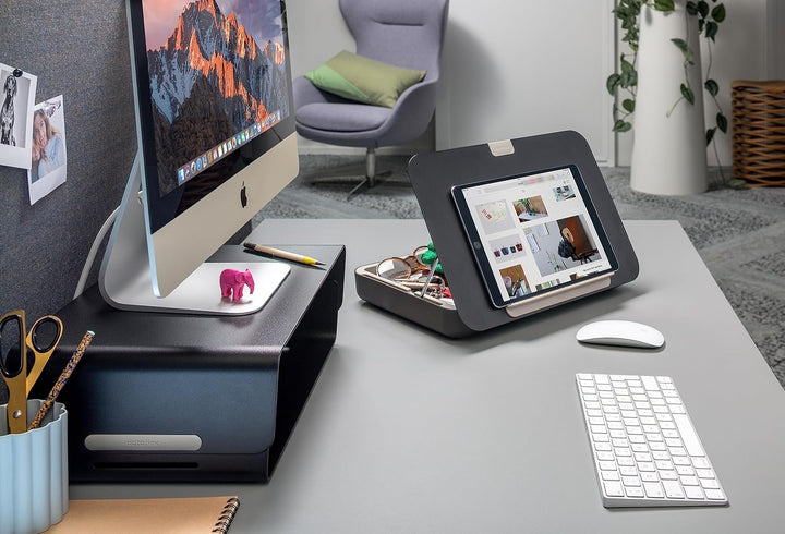 Dataflex Bento® Ergonomische Toolbox 903 Schwarz - Laptop-Ständer, Tablet-Ständer, Dokumentenhalter,