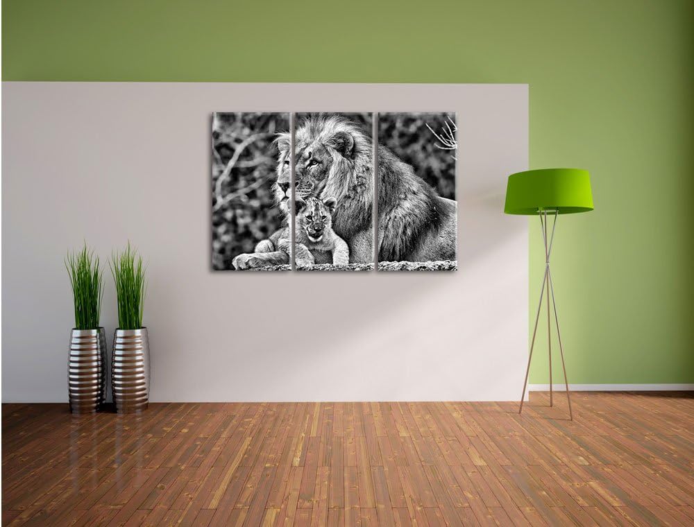 Pixxprint Lieber Löwe mit Jungtier als Leinwandbild/Grösse: 3 Teilig (120x80) cm/Wandbild/Kunstdruck
