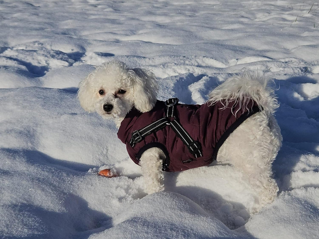 Hundejacke Winterweste Jacken Hundemantel Hundepullover Haustier Skifahren Kostüm Ärmellose Baumwoll