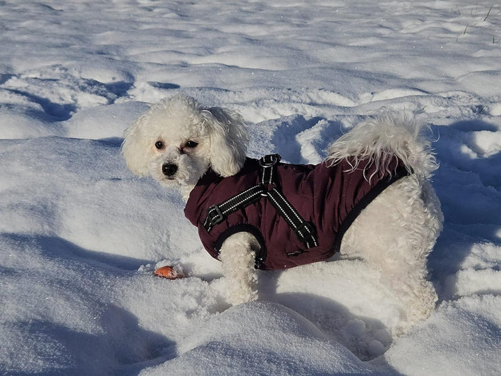 Hundejacke Winterweste Jacken Hundemantel Hundepullover Haustier Skifahren Kostüm Ärmellose Baumwoll