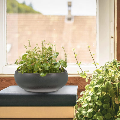 Cabilock Blumentopf Aus Poröser Keramik Runde Blumenschale Sukkulenten T?pfchen Kakteen Topf Schreib