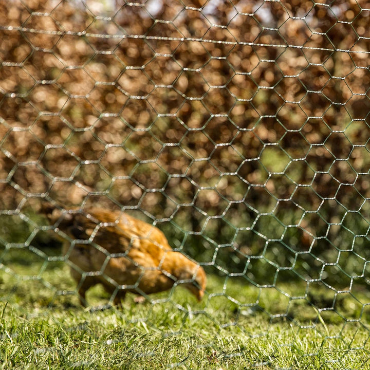 Windhager Kleintiergeflecht verzinkt, 1 x 10 m 10 x 1 m 25 mm, 10 x 1 m 25 mm