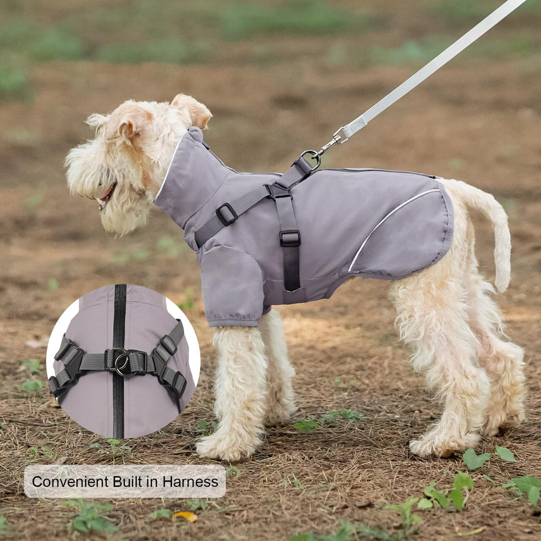 Graue mittelgrosse Hunde-Regenjacke, wasserdicht mit Geschirr - leicht anzuziehen, reflektierender R