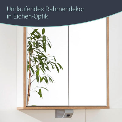 FACKELMANN Finn Spiegelschrank (60 x 75 x 20,5 cm) – Wandschrank mit Spiegel hängend mit 2 Einlegebö