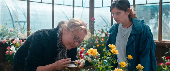 La fine fleur [FR Import], DVD