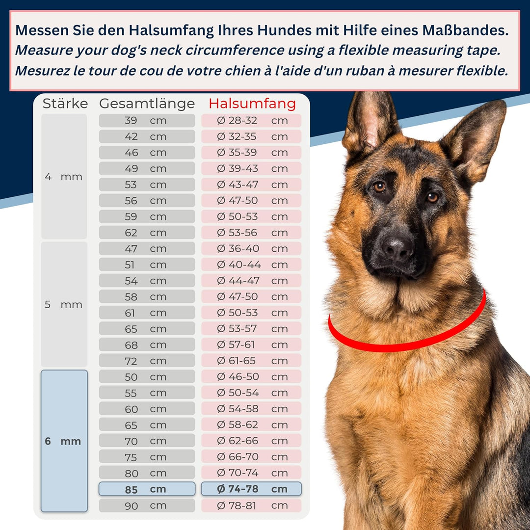 rostfreie Kombikette für Hunde - das ORIGINAL mit Zugstop - Edelstahl Hundekette Kettenhalsband lang