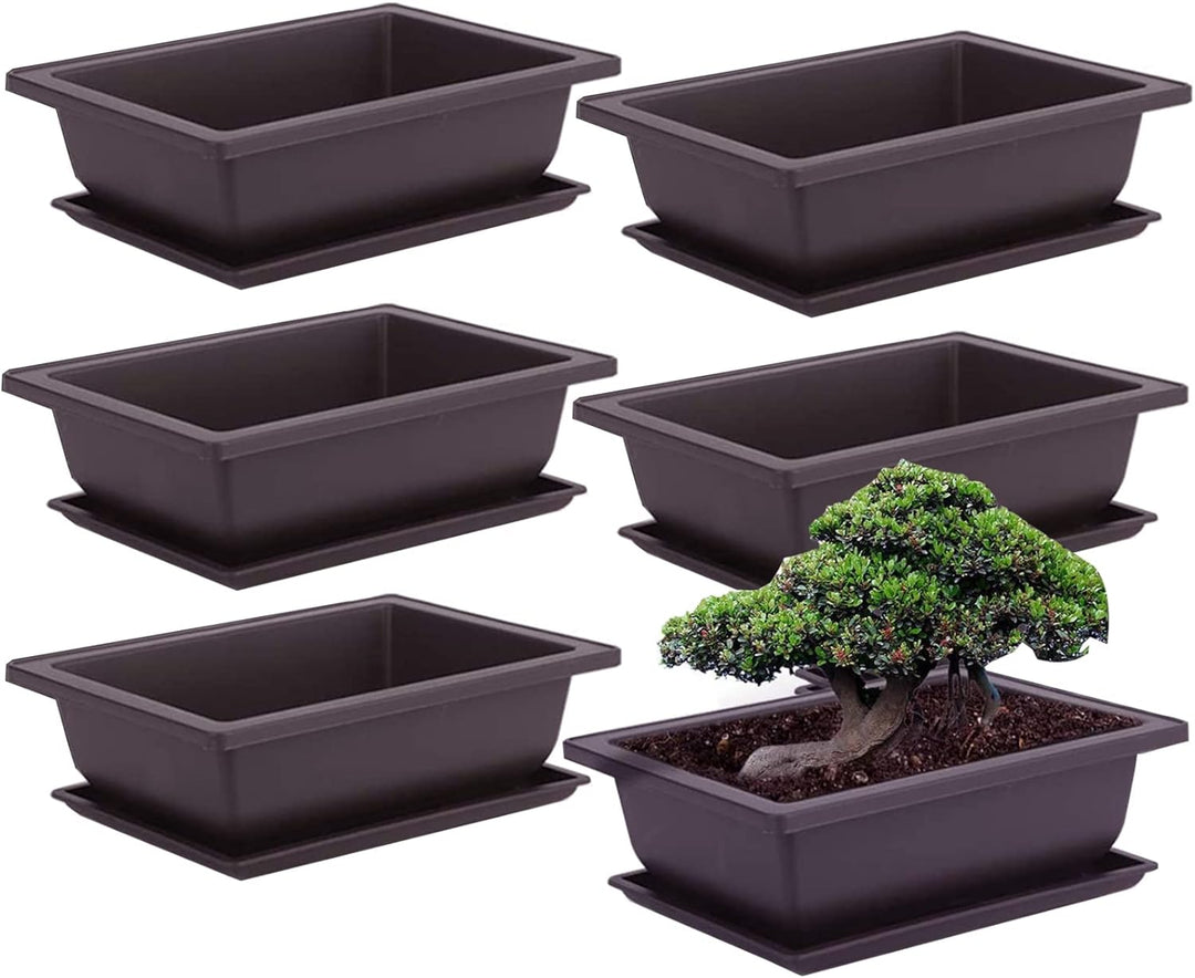6 Stück Bonsai-Trainingstöpfe mit Tablett Rechteck Blumentopf Bonsai Schale Sukkulenten Klein Pflanz