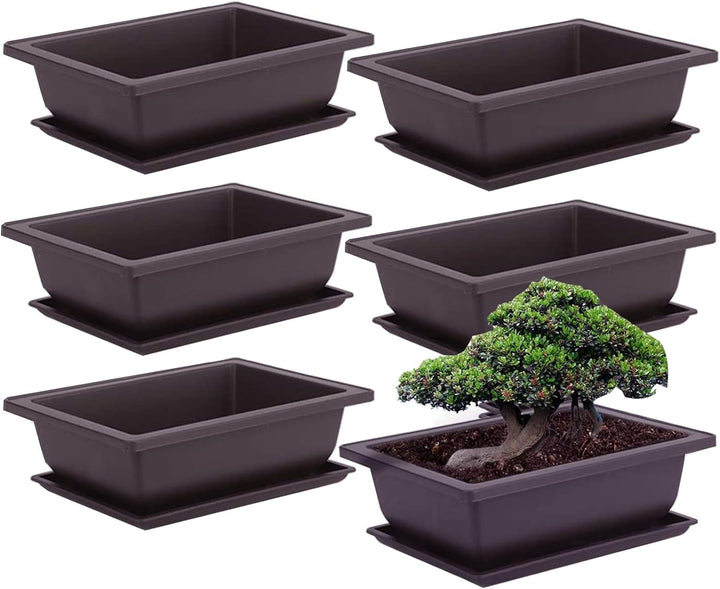 6 Stück Bonsai-Trainingstöpfe mit Tablett Rechteck Blumentopf Bonsai Schale Sukkulenten Klein Pflanz