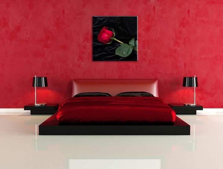Pixxprint Rose, Format: 70x70 auf Leinwand, XXL riesige Bilder fertig gerahmt mit Keilrahmen, Kunstd