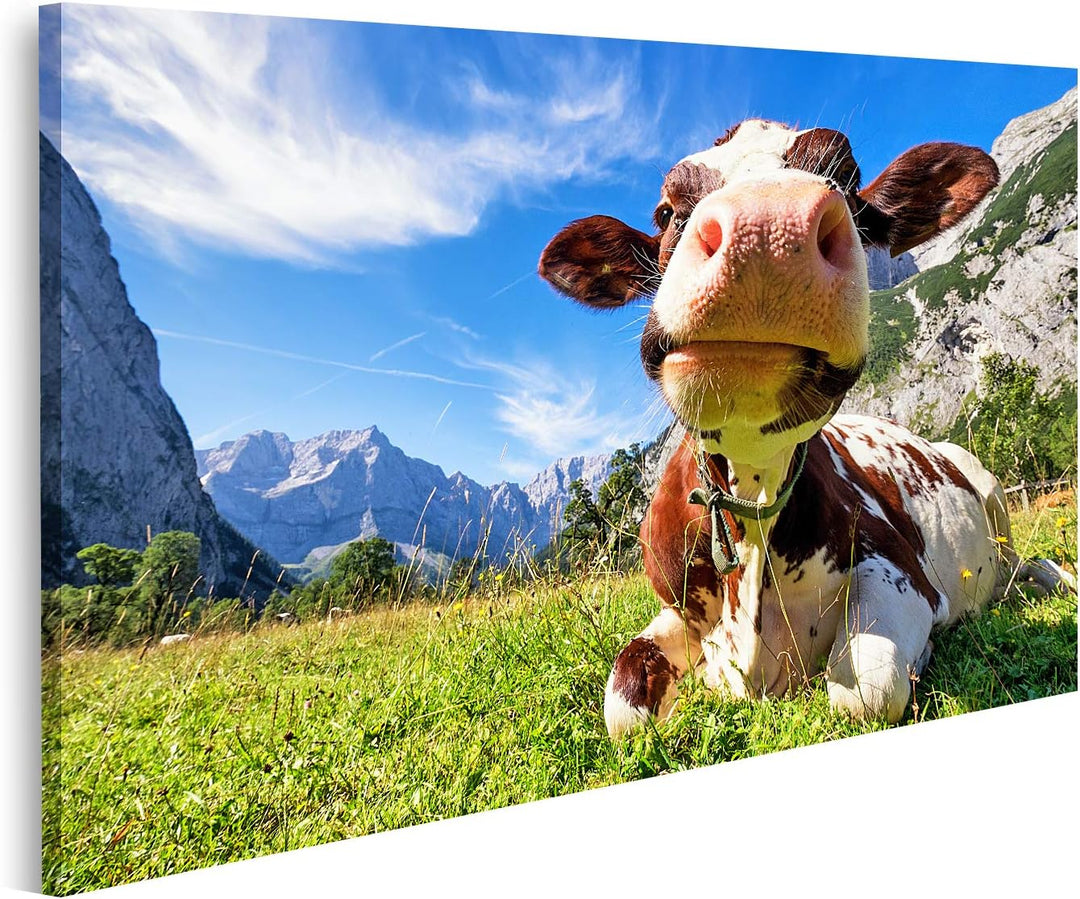 islandburner Bild auf Leinwand Kühe Im Karwendelgebirge In Österreich Bilder Wandbilder Poster Leinw