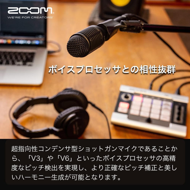 Zoom SGV-6