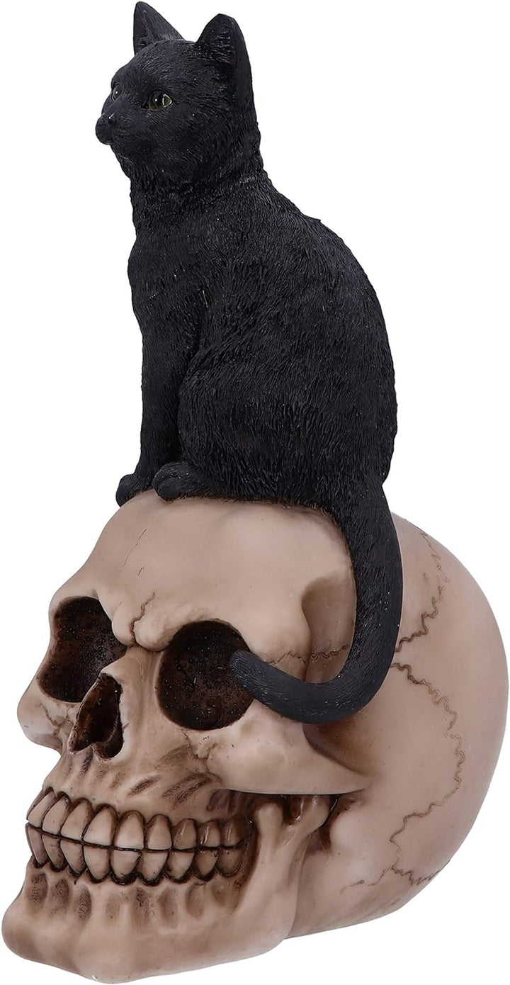 Nemesis Now Familiar Fate Dekofigur Hexen, Katze und Totenkopf, 24,3 cm