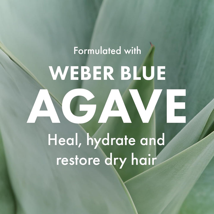 Agave Healing Oil Agave Professionelles Haarpflegeset - Shampoo + Conditioner + Öl Kit
