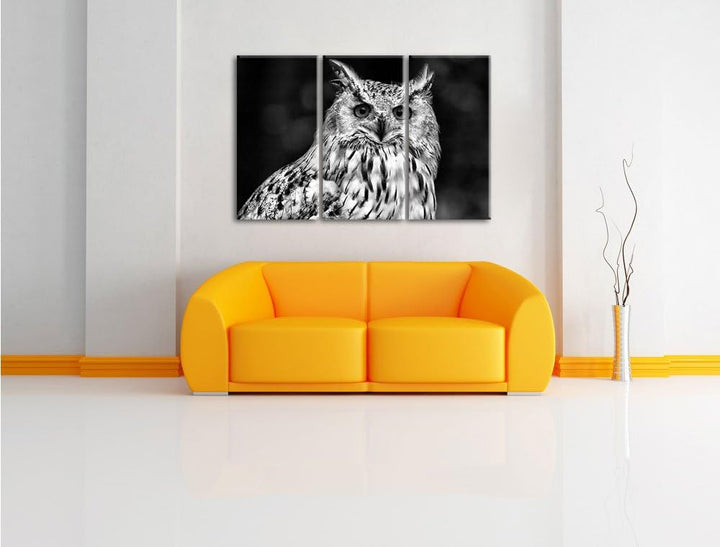 Pixxprint Monocrome, aufmerksame Waldohreule 3-Teiler Leinwandbild 120x80 Bild auf Leinwand