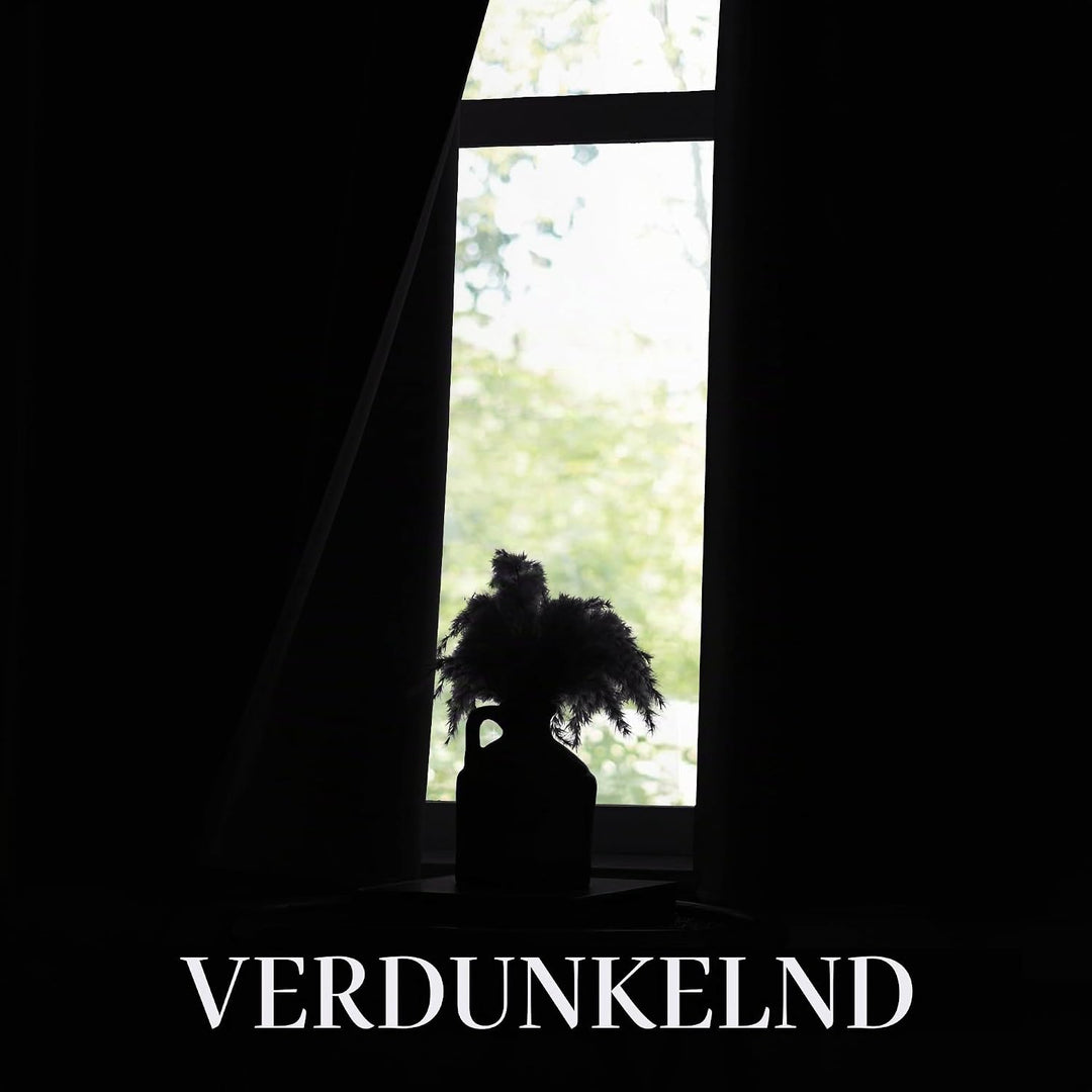 KGORGE Gardinen für Kleine Fenster Schlafzimmer 2er Set 120 x 90 cm(HxB) Verdunklungsvorhänge mit Ös